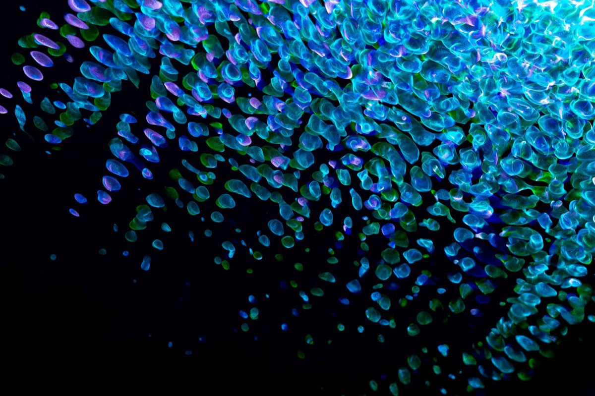 Abstract data visualisation image in the Data Science Lab brand style
