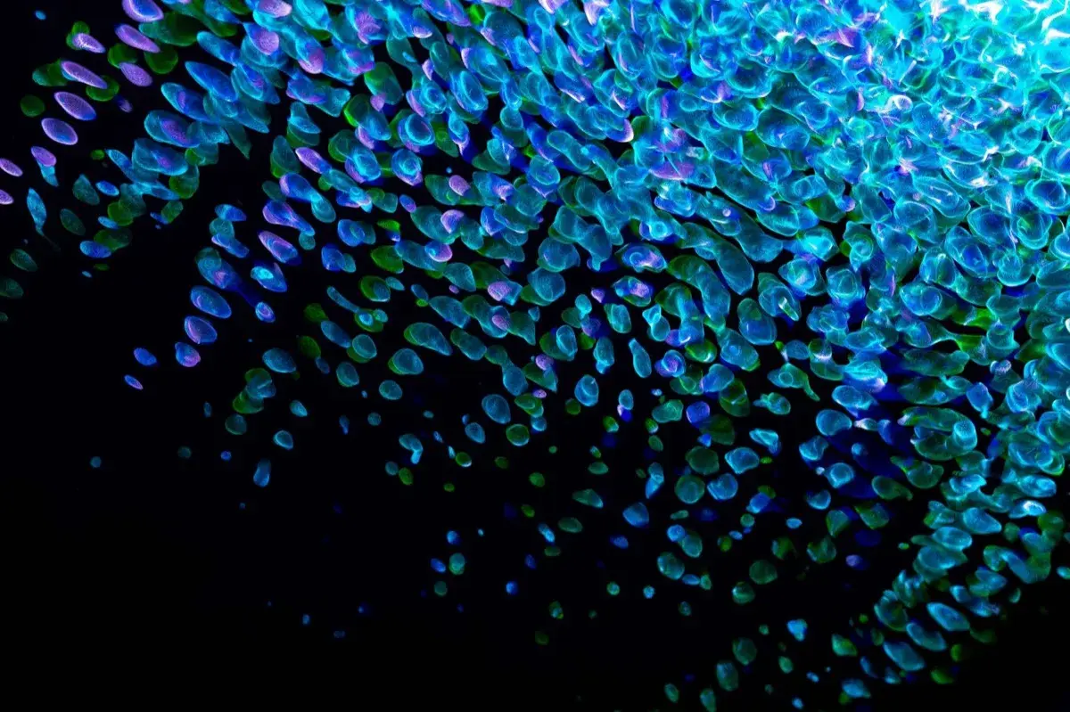 Imagem abstrata de visualização de dados no estilo visual da Data Science Lab